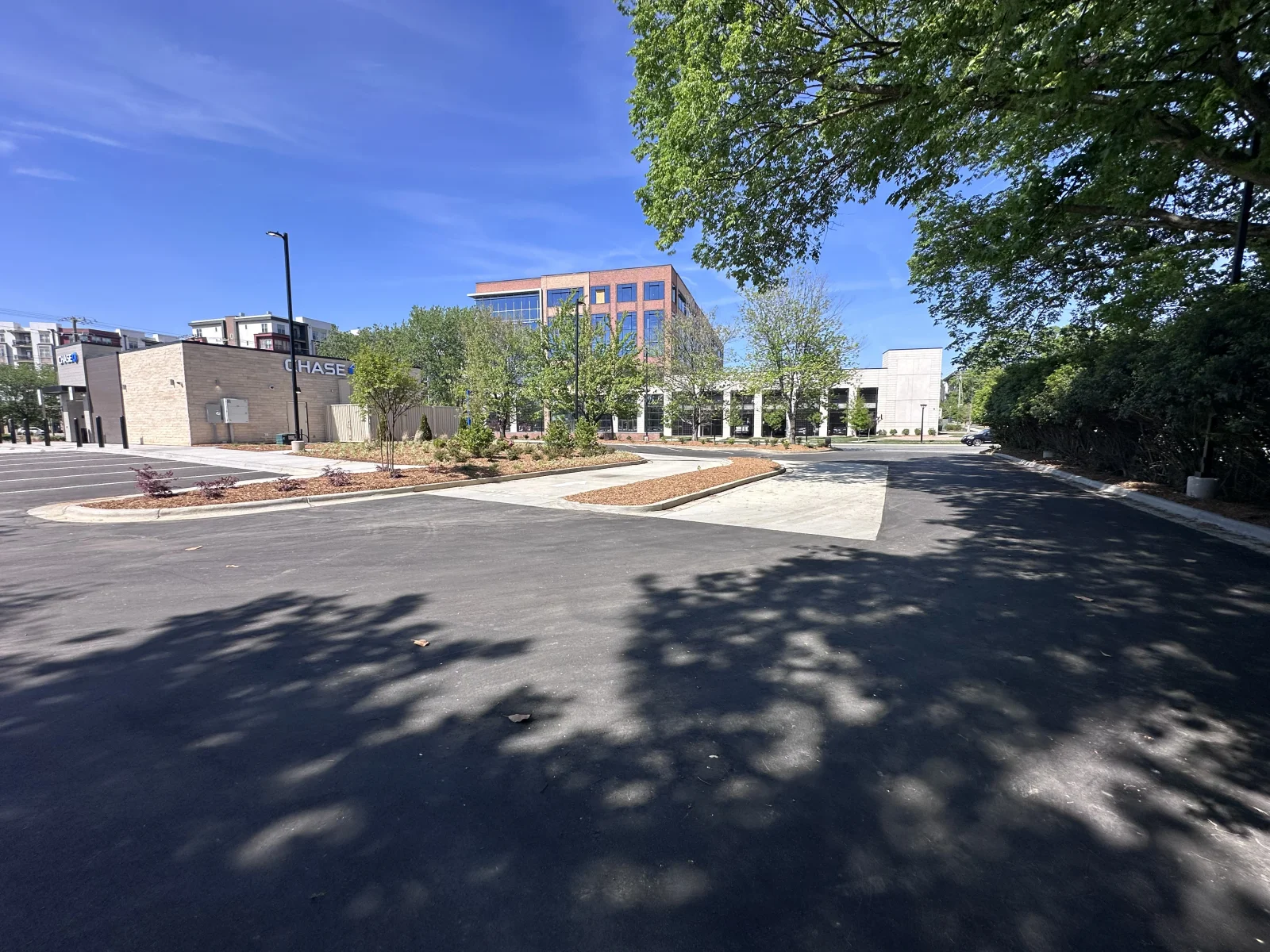Newly paved asphalt parking lot with concrete curbs, landscape beds, and young trees